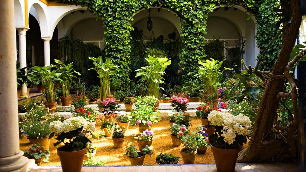 Guide to design the therapeutic space to attract the patients