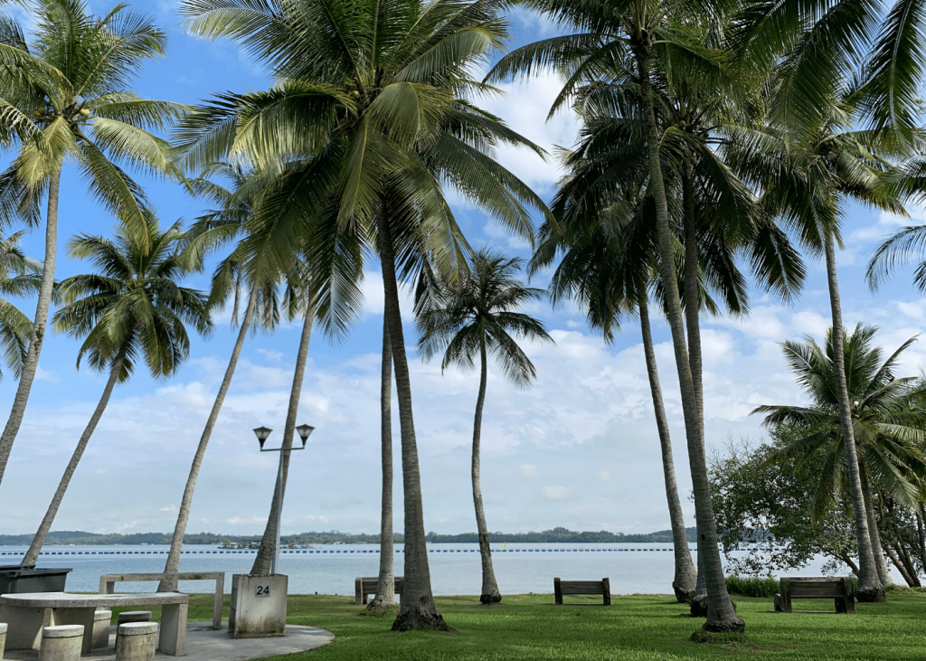 Coastal Cabana CNQC A Seaside Haven in Pasir Ris Park’s Vibrant Neighbourhood